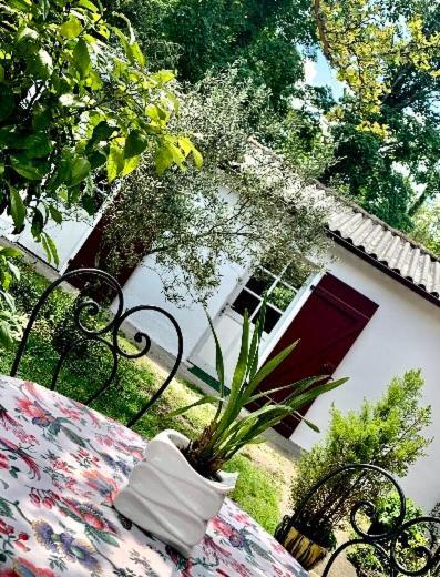Studio A Linxe Entre Terre Et Ocean Zewnętrze zdjęcie
